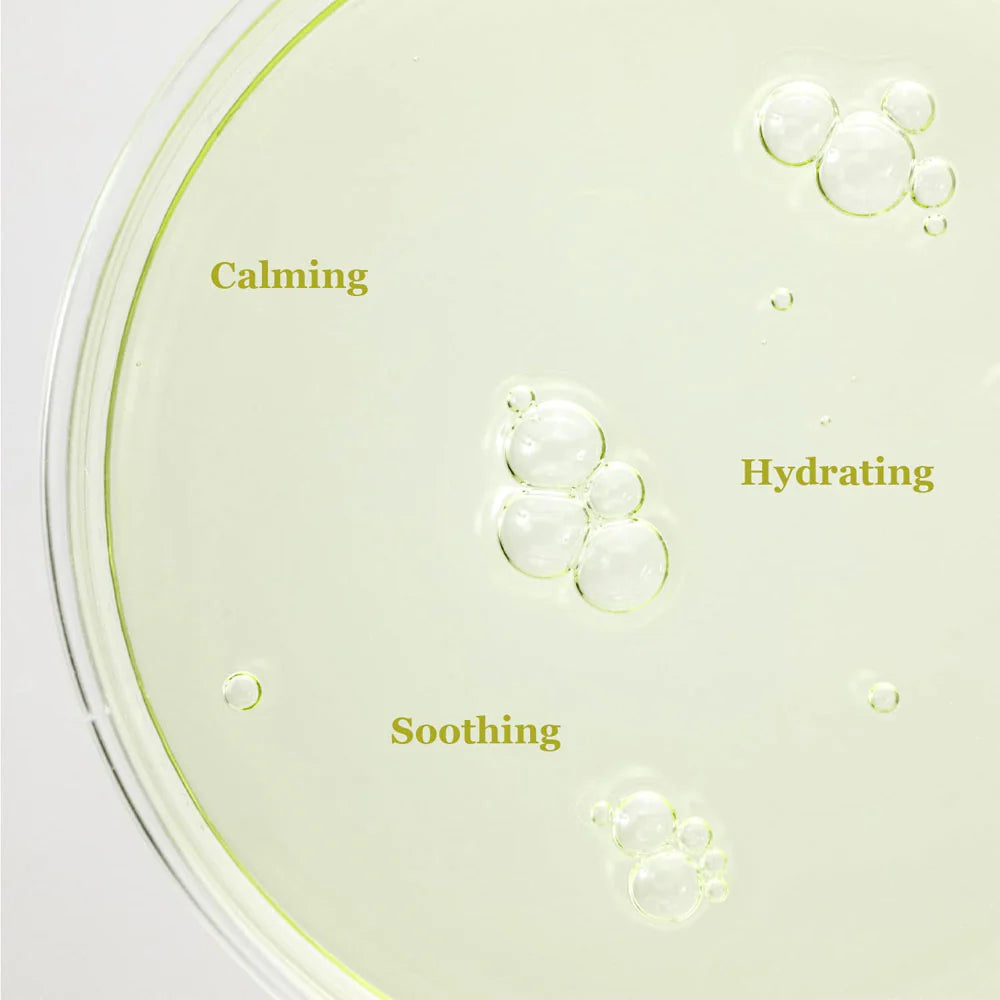 Beauty Of Joseon Calming Serum Green Tea + Panthenol - 30ml